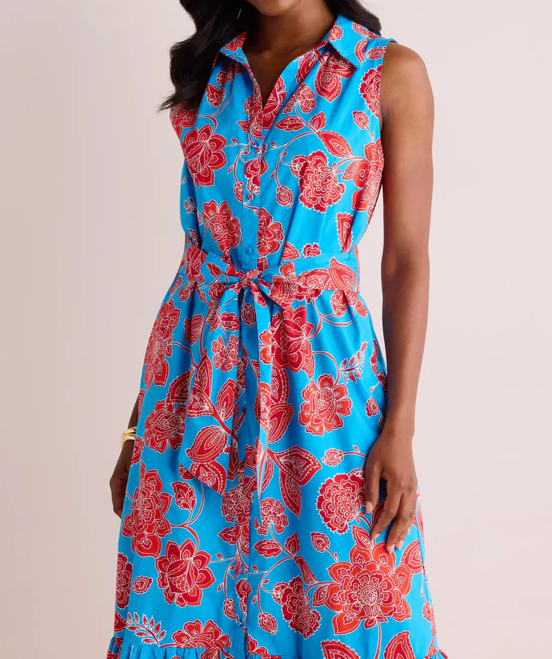 Elegant V-Neck Printed Sleeveless Removable Belt Dress