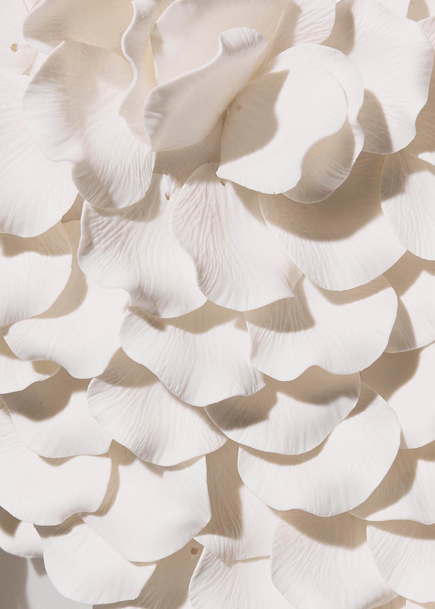 Petal Embellished Jacket & Skirts