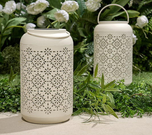 Solar Lighted Skeleton Lanterns