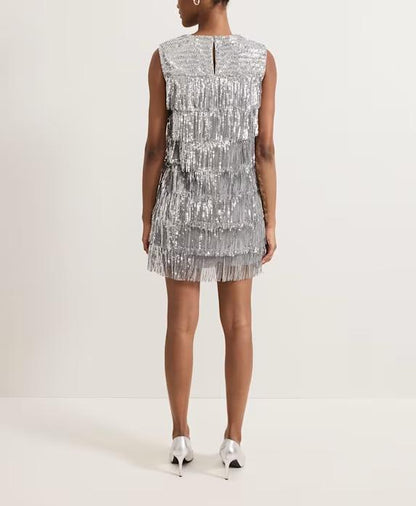 Fringe Sequin Dress